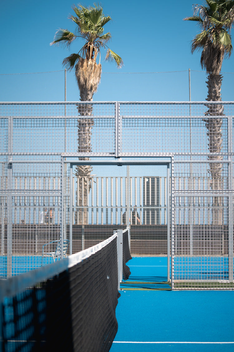 Court gate and net framed by two palm trees